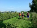 2013-07-18 10_44 019
